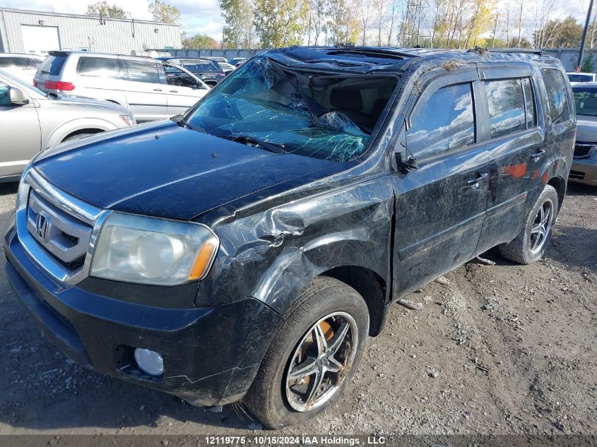 2010 Honda Pilot VIN: 5FNYF4H58AB504050 Lot: 12119775