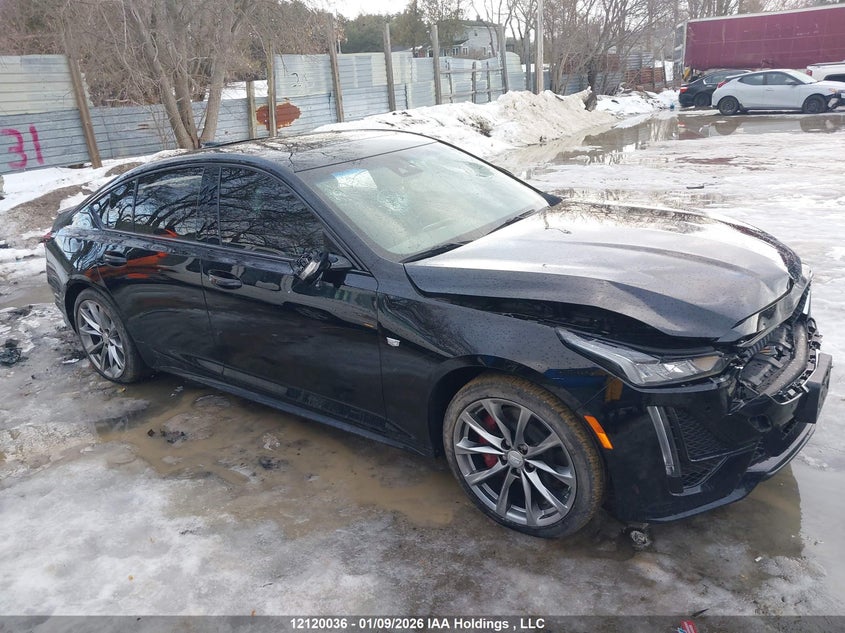 2023 Cadillac Ct5 VIN: 1G6DU5RK5P0106447 Lot: 12120036