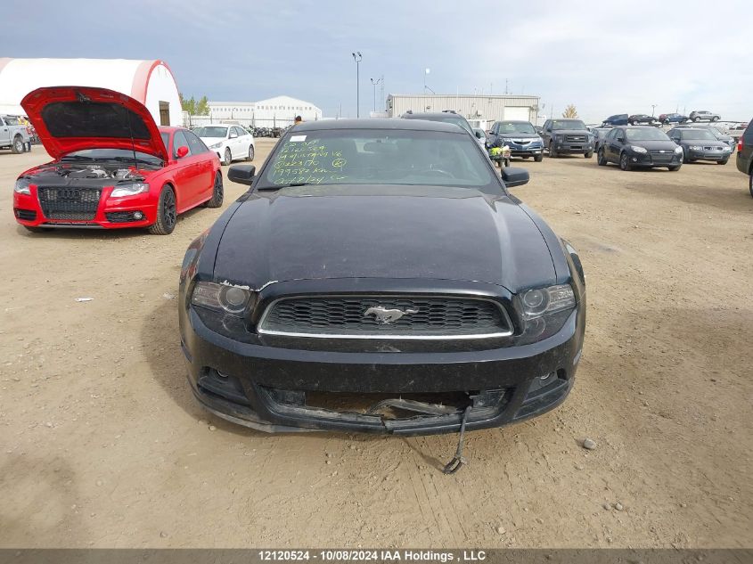 2014 Ford Mustang V6 VIN: 1ZVBP8AM4E5223170 Lot: 12120524