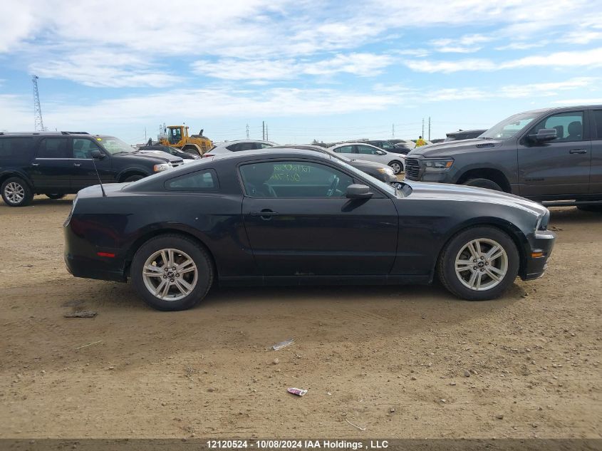 2014 Ford Mustang V6 VIN: 1ZVBP8AM4E5223170 Lot: 12120524