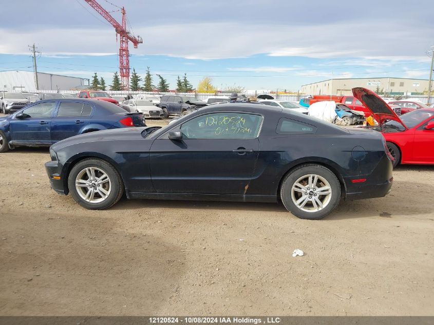 2014 Ford Mustang V6 VIN: 1ZVBP8AM4E5223170 Lot: 12120524