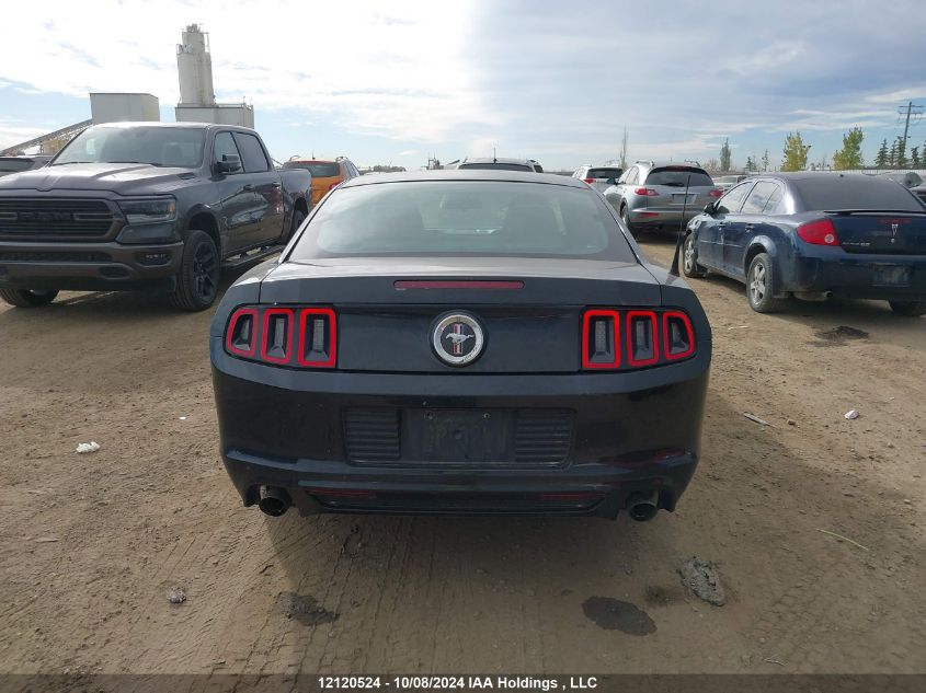 2014 Ford Mustang V6 VIN: 1ZVBP8AM4E5223170 Lot: 12120524