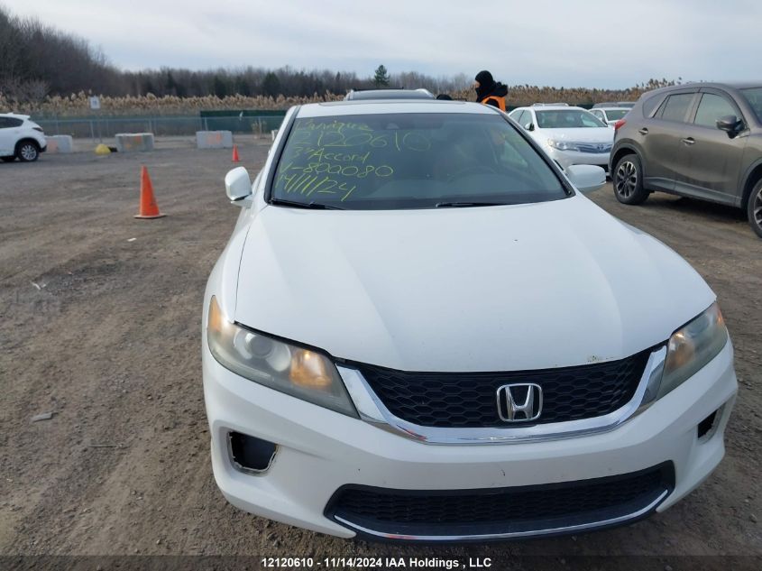 2013 Honda Accord Cpe VIN: 1HGCT1B83DA800080 Lot: 12120610