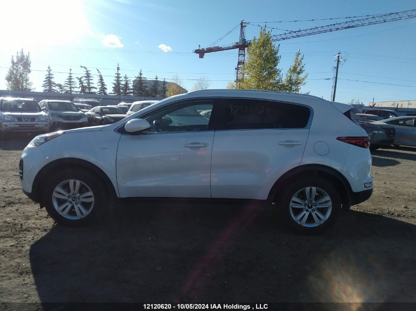 2019 Kia Sportage VIN: KNDPMCACXK7595155 Lot: 12120620