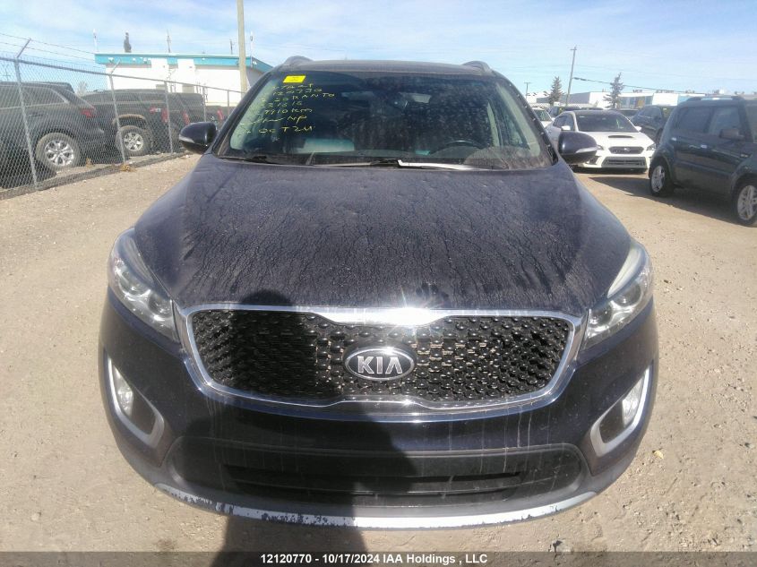 2017 Kia Sorento VIN: 5XYPHDA56HG331616 Lot: 12120770