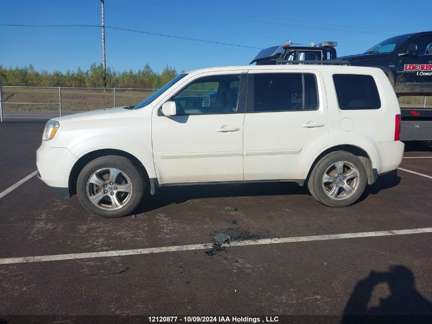 2013 Honda Pilot VIN: 5FNYF4H52DB503352 Lot: 12120877