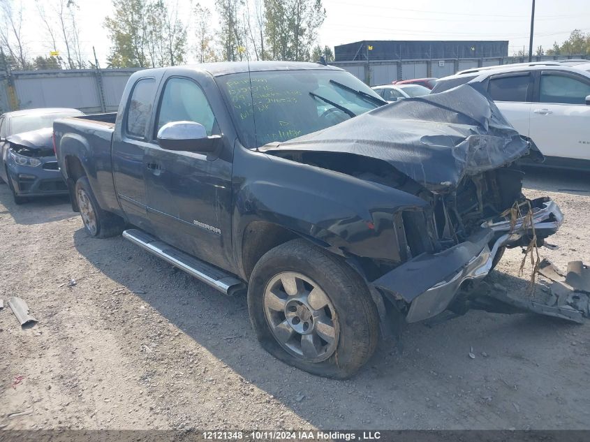 2009 GMC Sierra 1500 VIN: 1GTEK19J79Z246523 Lot: 12121348