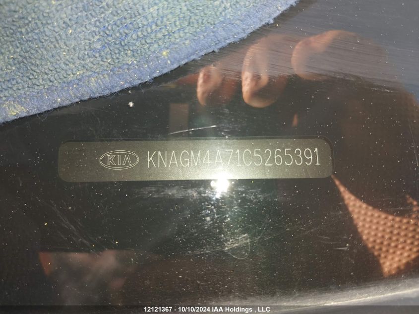 2012 Kia Optima VIN: KNAGM4A71C5265391 Lot: 12121367