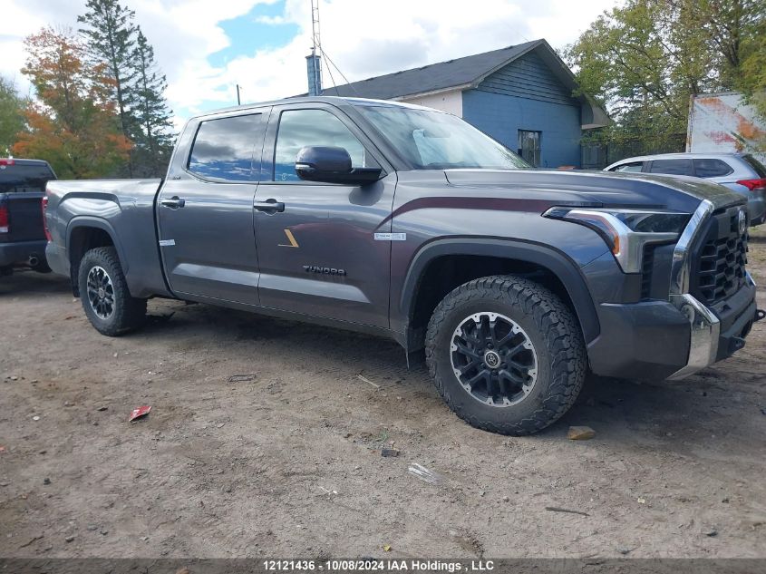 2023 Toyota Tundra VIN: 5TFLA5EC2PX011657 Lot: 12121436