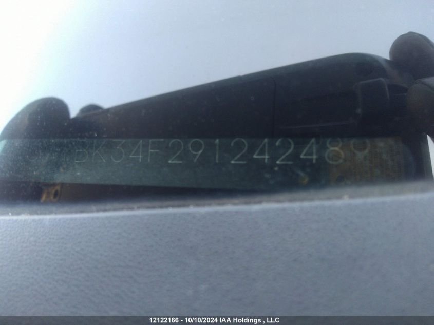 2009 Mazda Mazda3 VIN: JM1BK34F291242489 Lot: 12122166