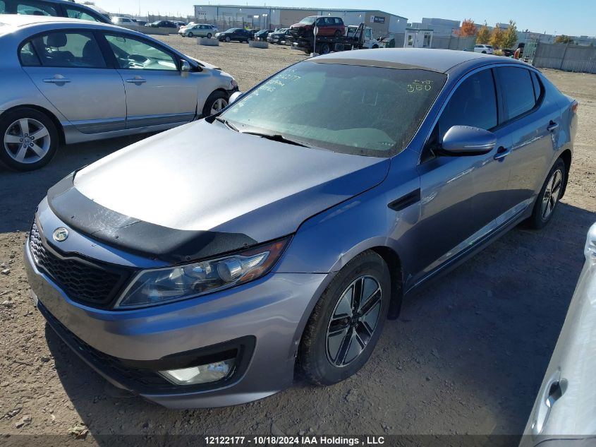 2011 Kia Optima VIN: KNAGM4AD1B5004315 Lot: 12122177