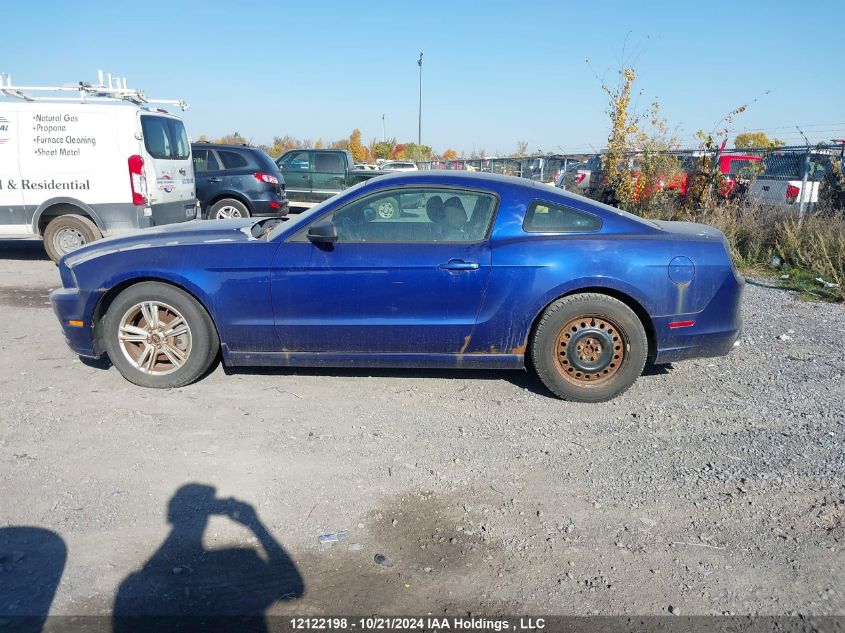 2013 Ford Mustang VIN: 1ZVBP8AM4D5272738 Lot: 12122198