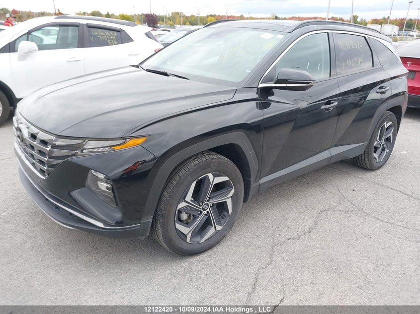 KM8JCCA17PU116279 2023 HYUNDAI TUCSON photo no. 2