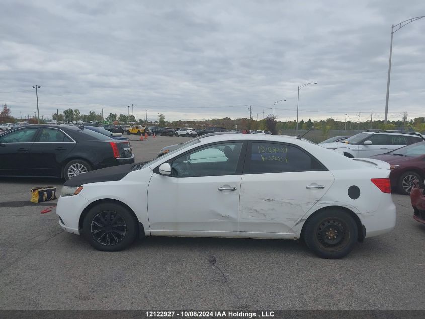 2012 Kia Forte VIN: KNAFU4A23C5536659 Lot: 12122927