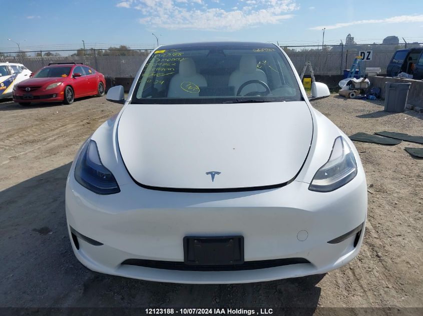 2023 Tesla Model Y VIN: 7SAYGDEE1PF619862 Lot: 12123188