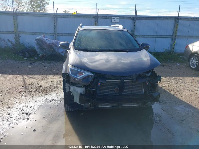 2016 Toyota Rav4 Xle VIN: 2T3RFREV7GW490036 Lot: 12123415