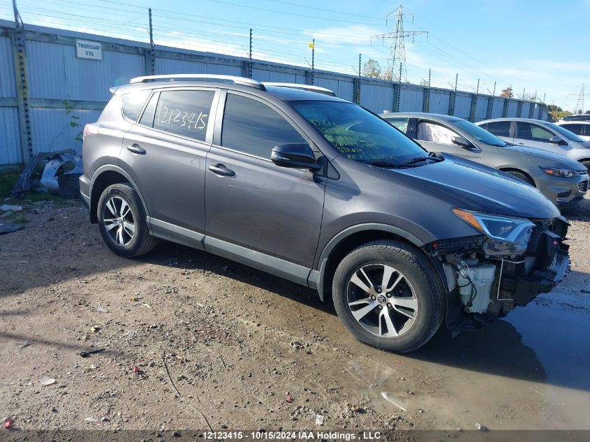 2016 Toyota Rav4 Xle VIN: 2T3RFREV7GW490036 Lot: 12123415