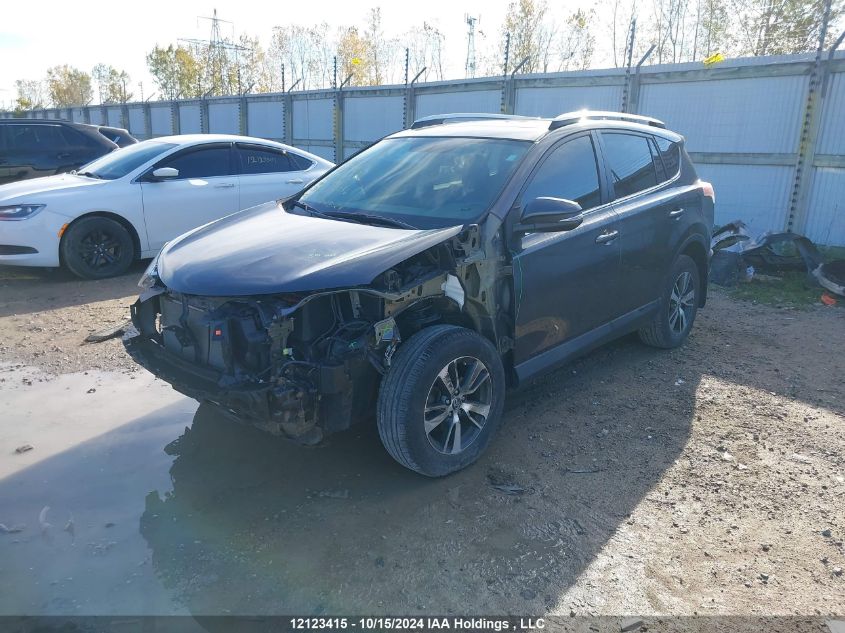 2016 Toyota Rav4 Xle VIN: 2T3RFREV7GW490036 Lot: 12123415