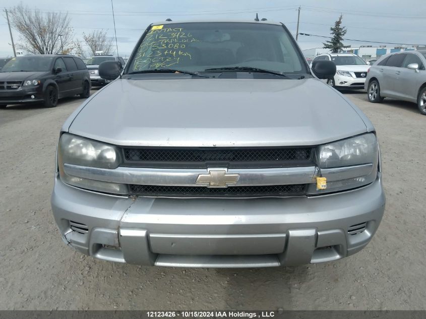 2006 Chevrolet Trailblazer VIN: 1GNDS13S462153080 Lot: 12123426