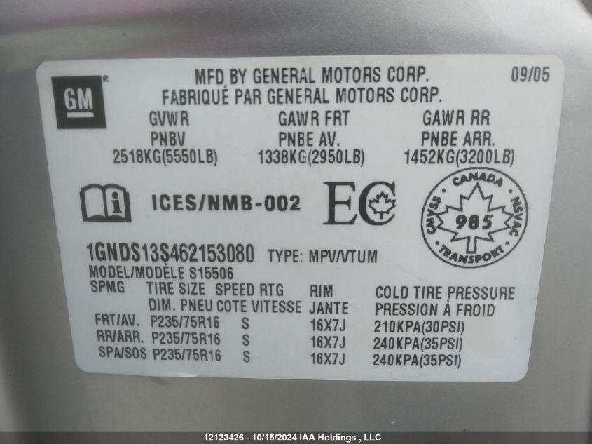 2006 Chevrolet Trailblazer VIN: 1GNDS13S462153080 Lot: 12123426