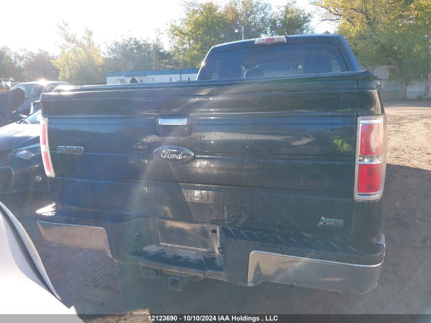 2010 Ford F-150 VIN: 1FTFW1EV1AFC41339 Lot: 12123690