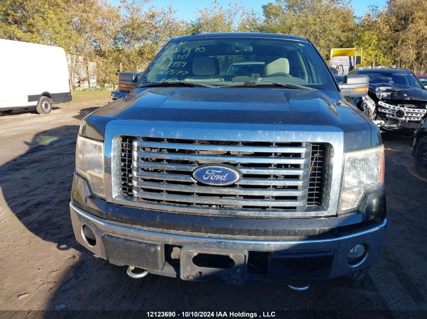 2010 Ford F-150 VIN: 1FTFW1EV1AFC41339 Lot: 12123690