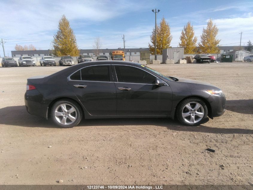 2010 Acura Tsx VIN: JH4CU2F60AC801941 Lot: 12123746