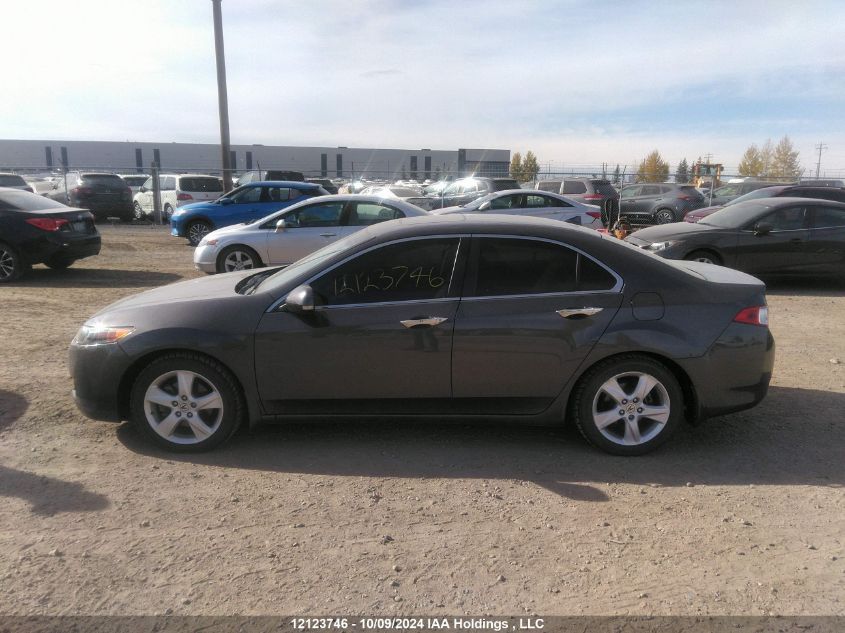 2010 Acura Tsx VIN: JH4CU2F60AC801941 Lot: 12123746