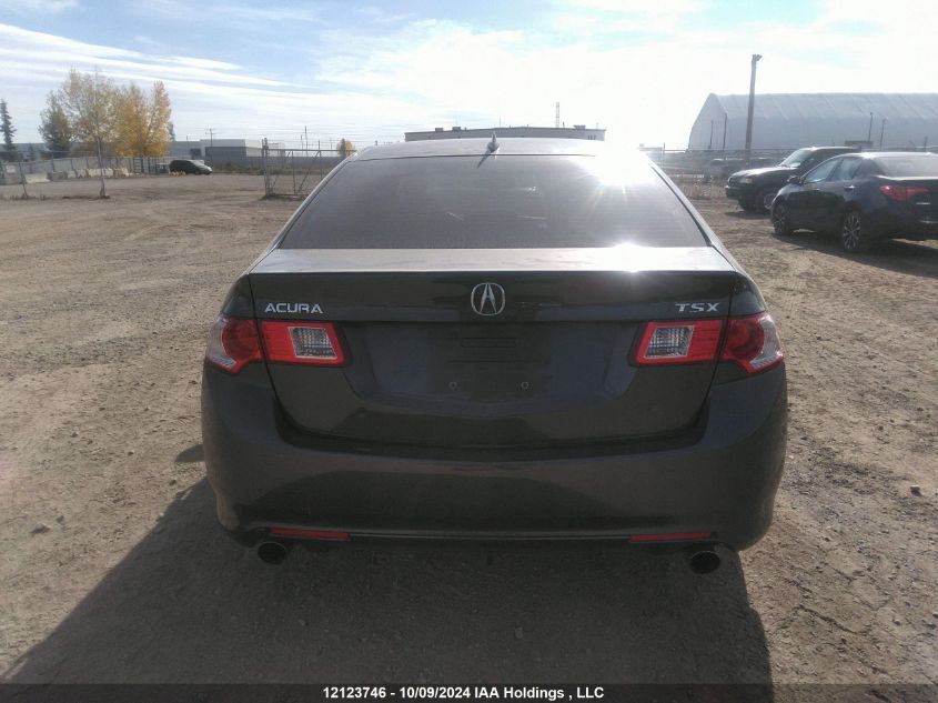 2010 Acura Tsx VIN: JH4CU2F60AC801941 Lot: 12123746