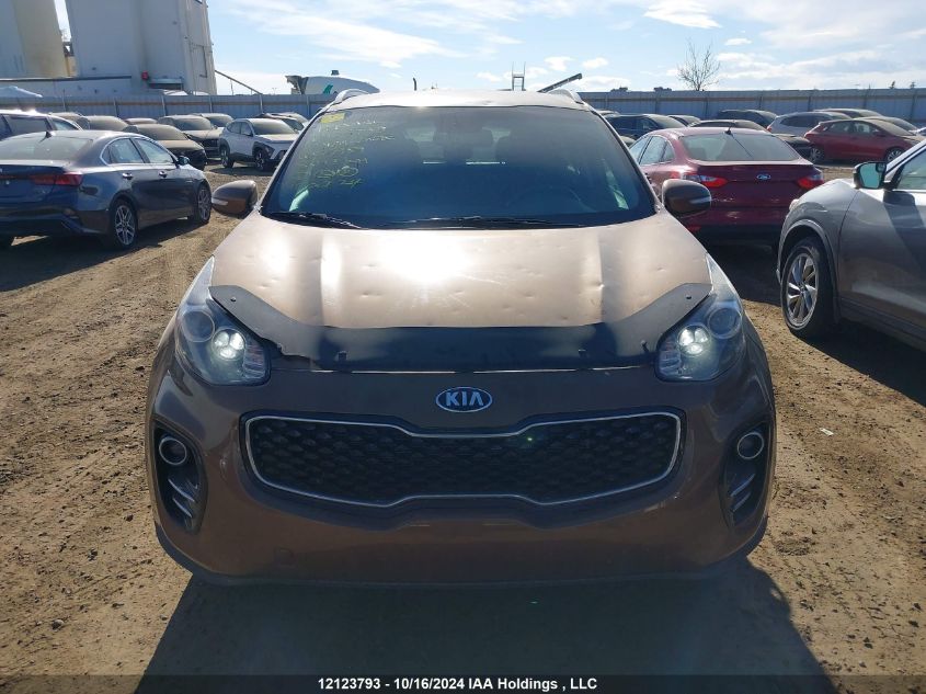 2017 Kia Sportage VIN: KNDPNCAC4H7127959 Lot: 12123793