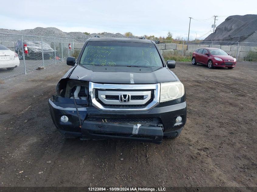 2009 Honda Pilot VIN: 5FNYF48469B501568 Lot: 12123894