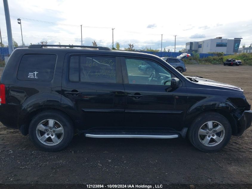 2009 Honda Pilot VIN: 5FNYF48469B501568 Lot: 12123894