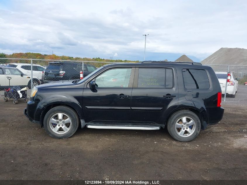 2009 Honda Pilot VIN: 5FNYF48469B501568 Lot: 12123894