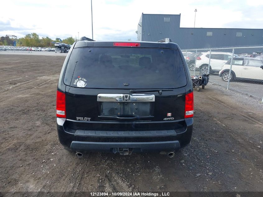 2009 Honda Pilot VIN: 5FNYF48469B501568 Lot: 12123894