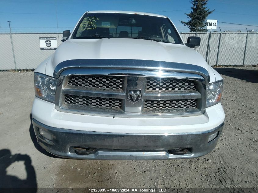 2010 Dodge Ram 1500 VIN: 1D7RV1CT7AS168766 Lot: 12123935