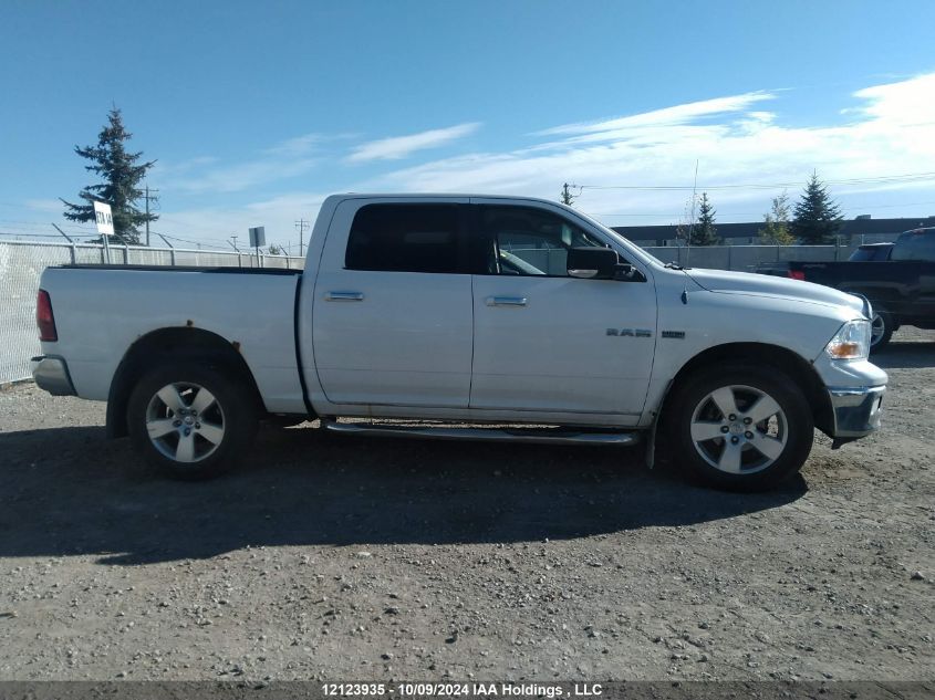 2010 Dodge Ram 1500 VIN: 1D7RV1CT7AS168766 Lot: 12123935