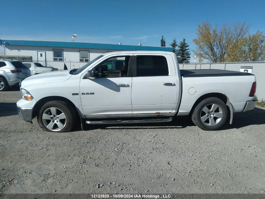 2010 Dodge Ram 1500 VIN: 1D7RV1CT7AS168766 Lot: 12123935