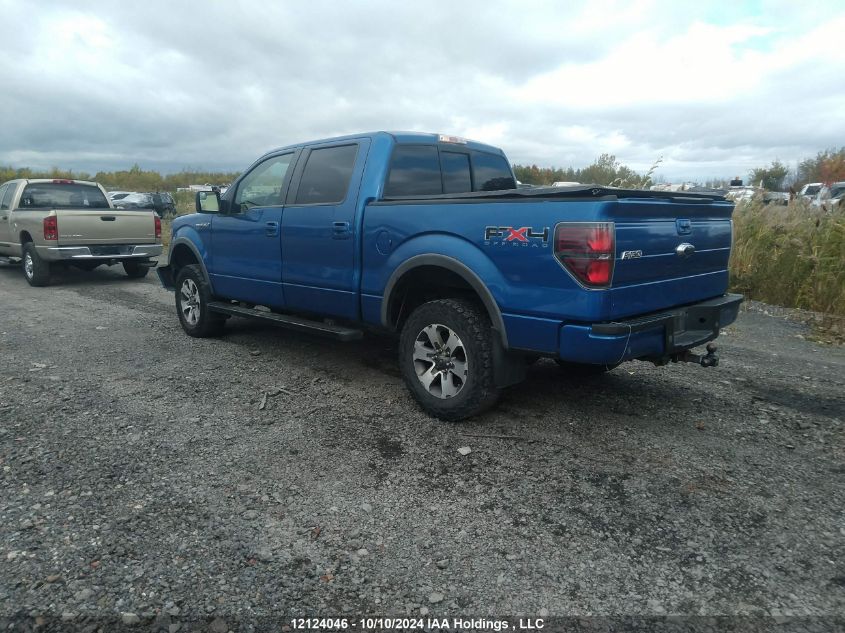 2011 Ford F150 Supercrew VIN: 1FTFW1EF0BKD95803 Lot: 12124046