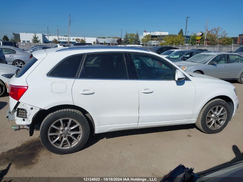 2010 Audi Q5 Premium Plus VIN: WA1LKCFP5AA046040 Lot: 12124523