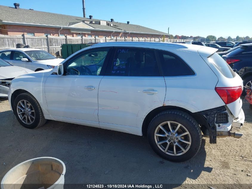 2010 Audi Q5 Premium Plus VIN: WA1LKCFP5AA046040 Lot: 12124523