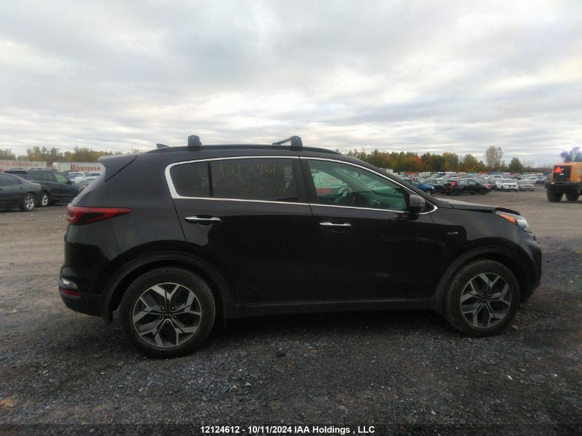 2020 Kia Sportage VIN: KNDPNCAC4L7683276 Lot: 12124612