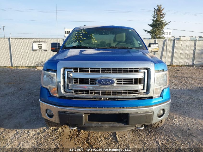 2013 Ford F150 Super Cab VIN: 1FTFX1EF8DFC30185 Lot: 12124973