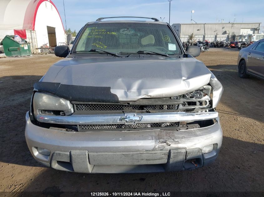 2006 Chevrolet Trailblazer Ls VIN: 1GNDT13S762361385 Lot: 12125026