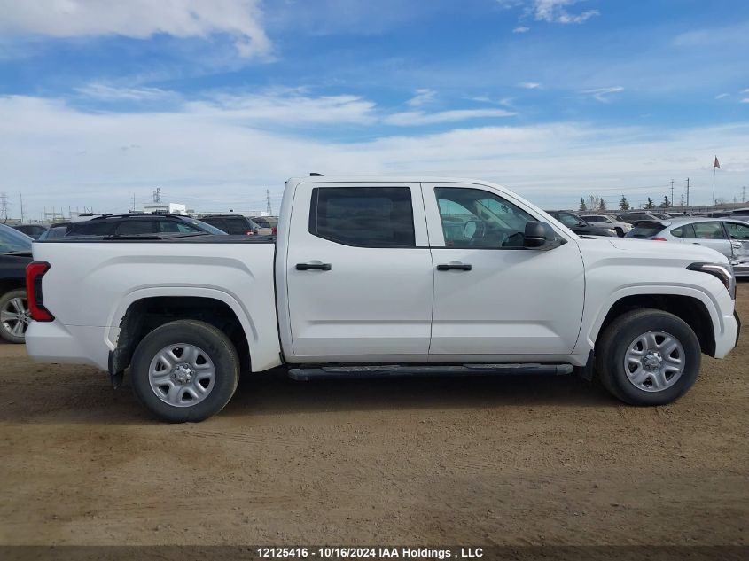 2023 Toyota Tundra Sr VIN: 5TFKB5DBXPX064771 Lot: 12125416