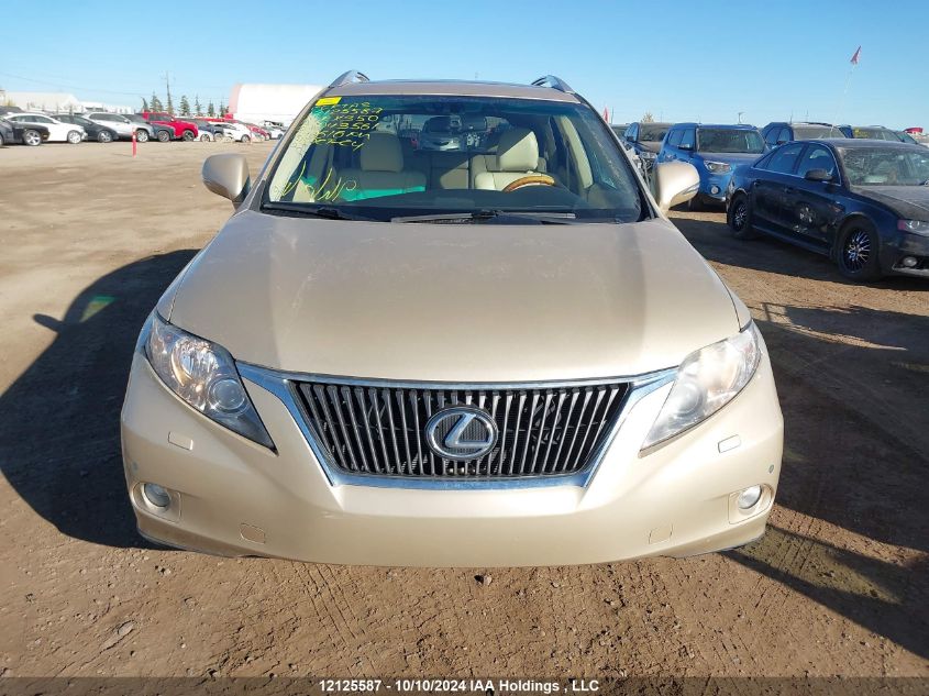 2010 Lexus Rx 350 VIN: 2T2BK1BA9AC043561 Lot: 12125587