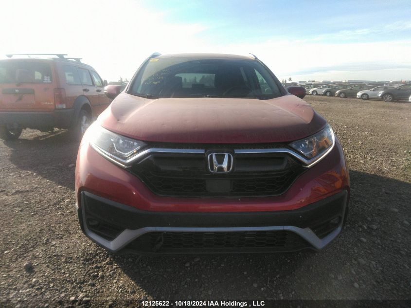 2020 Honda Cr-V VIN: 2HKRW2H81LH216832 Lot: 12125622