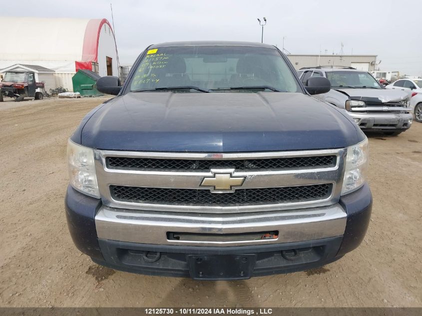 2009 Chevrolet Silverado 1500 VIN: 3GCEK13349G191085 Lot: 12125730