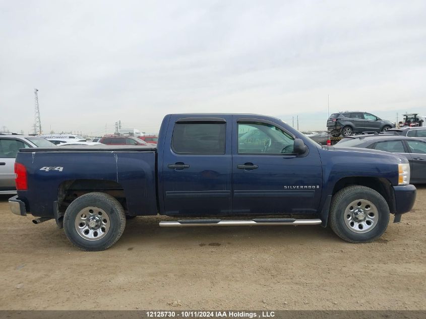 2009 Chevrolet Silverado 1500 VIN: 3GCEK13349G191085 Lot: 12125730