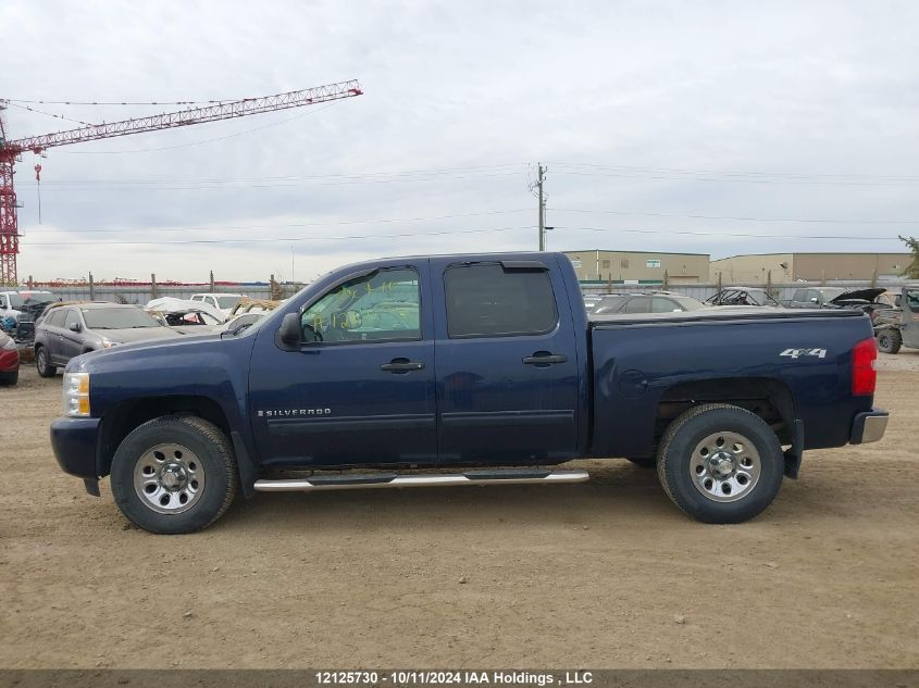 2009 Chevrolet Silverado 1500 VIN: 3GCEK13349G191085 Lot: 12125730