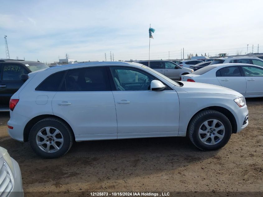 2013 Audi Q5 VIN: WA1WFCFP4DA031115 Lot: 12125873